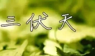 入伏是哪一天（入伏是哪一天开始2022）