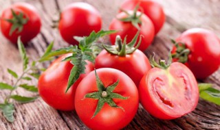 番茄营养价值及功效 番茄营养价值功效作用PPT