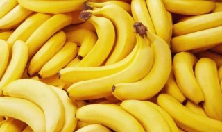 香蕉的资料（香蕉的资料说明文）