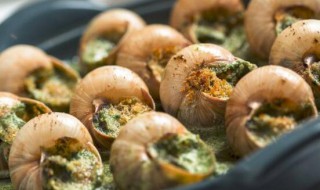 蜗牛怎么做好吃 蜗牛怎么做好吃又干净