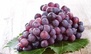 树葡萄吃法 树葡萄怎么吃好