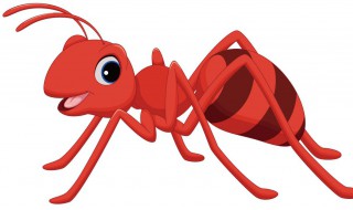 家里有蚂蚁是什么征兆 家里有蚂蚁是什么征兆,是吉兆还是凶兆