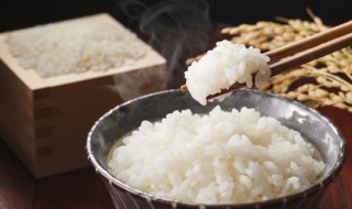一个人的蒸米饭的家常做法（一个人蒸米饭蒸多少米）