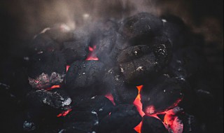 木炭怎么烧制 木炭怎么烧制?