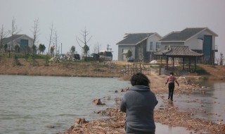 常在河边走哪有不湿鞋是谁写的 常在河边走哪有不湿鞋改写句子