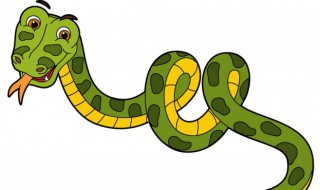 梦见绿色的蛇 梦见绿色的蛇被打死了
