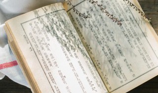 王戎不取道旁李文言文翻译（王戎不取道旁李文言文翻译及注释）