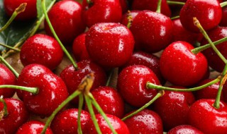 红果果的樱桃益处多多 樱桃的红果和黄果是一对相对性状,将红果的樱桃品种