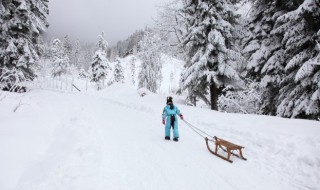 单板滑雪板有哪些类型 单板滑雪板板型分为哪三种