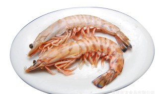 九节虾的营养价值 九尾虾的营养价值