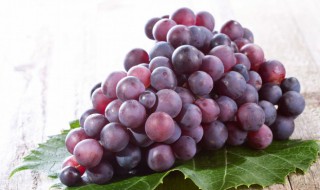 葡萄是感光水果吗（感光食物和非感光食物一览表）