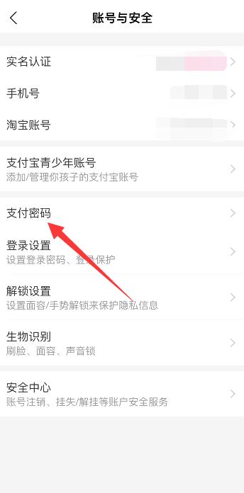 支付宝密码在哪里看