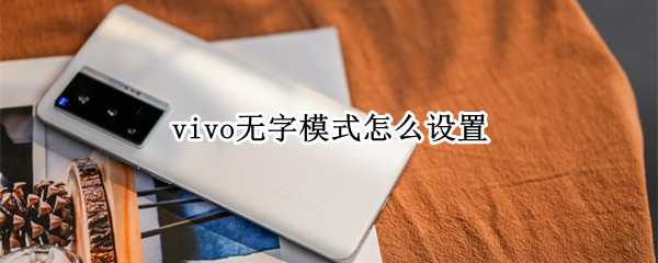 vivo无字模式怎么设置（vivo打不了字该咋设置）