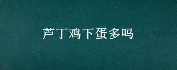 芦丁鸡下蛋多吗_养鸡人必看