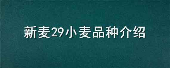 新麦29小麦品种介绍 新麦19小麦品种特征与产量?