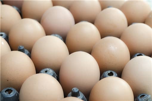 2021全国鸡蛋最新价格行情是怎样的 鸡蛋明年价格怎么样2021