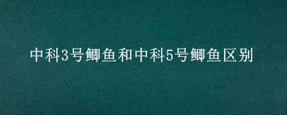 中科3号鲫鱼和中科5号鲫鱼区别 中科三号鲫鱼是什么品种