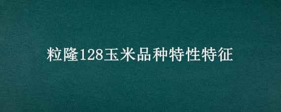 粒隆128玉米品种特性特征（粒隆118玉米品种）