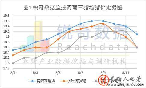 河南猪场猪价连续3天大地震（今日河南省猪价预测）