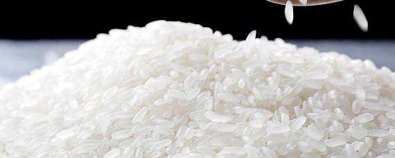 稻米品质指标有哪六个 稻米品质指标有哪些