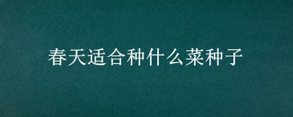 春天适合种什么菜种子 适合春天种的菜种子