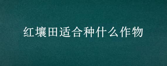 红壤田适合种什么作物（红土地适合种植什么作物）