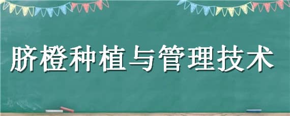 脐橙种植与管理技术（脐橙种植与管理技术书）