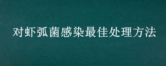 对虾弧菌感染最佳处理方法 对虾弧菌病治疗方法