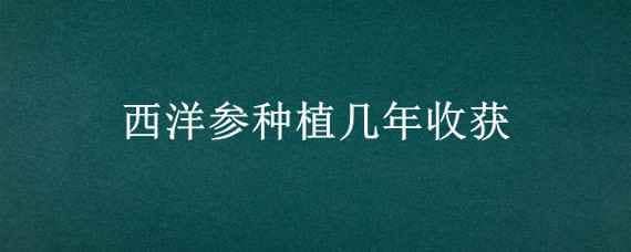 西洋参种植几年收获（西洋参要种几年才可收成）