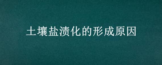 土壤盐渍化的形成原因（土壤盐渍化的形成原因高中地理）