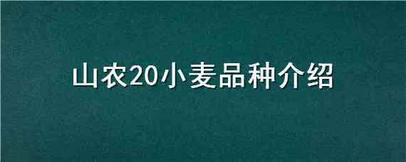 山农20小麦品种介绍 山农25小麦新品种