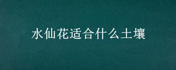 水仙花适合什么土壤（水仙花用土养好还是用水养好）