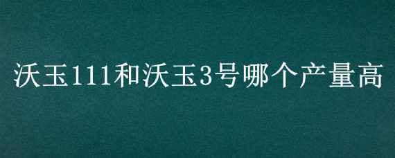 沃玉111和沃玉3号哪个产量高（沃玉111和沃玉3号哪个产量高,美加605）