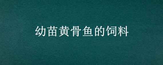 幼苗黄骨鱼的饲料 幼苗黄骨鱼的饲料配比