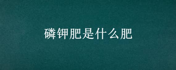 磷钾肥是什么肥（磷钾肥是什么肥图片）