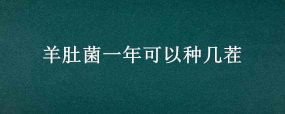 羊肚菌一年可以种几茬（羊肚菌一年能种几茬）