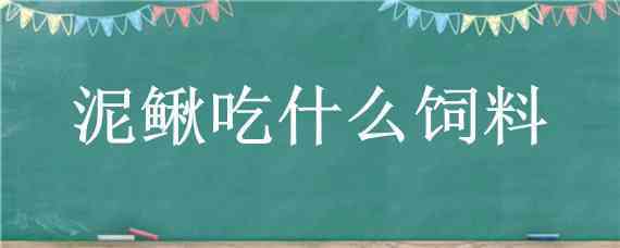 泥鳅吃什么饲料（泥鳅吃什么饲料是什么名）