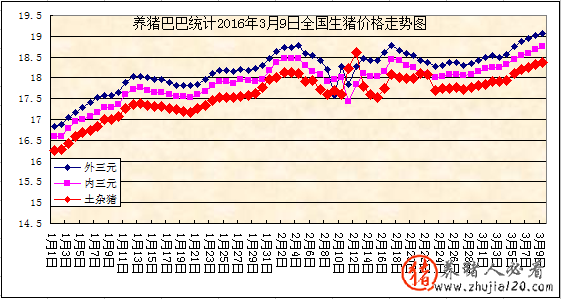 趋势：国内猪市出现火热行情 今日猪市行情上涨