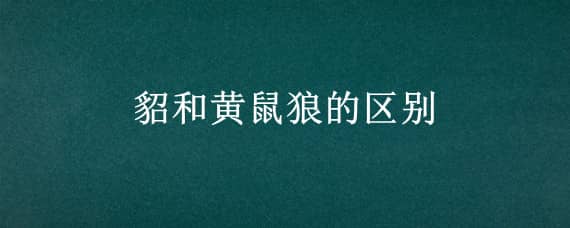 貂和黄鼠狼的区别（黄鼠狼与貂的区别）