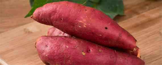 红薯种植方法和技术 红薯种植方法和技术视频