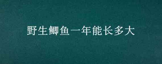 野生鲫鱼一年能长多大 野生鲫鱼长到一斤大要几年