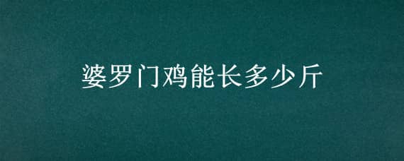 婆罗门鸡能长多少斤 婆罗门鸡能长多高多重