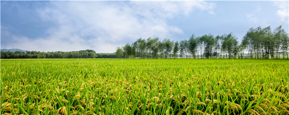 农业功能性开发适合哪些地方（功能性农业开发包括）