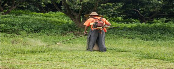 除草剂药害如何解救 除草剂药害怎么解除