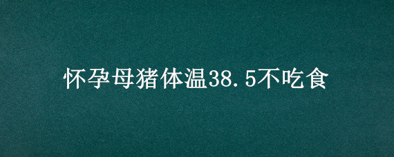 怀孕母猪体温38.5不吃食（怀孕母猪体温38.5不吃食呕吐一天就死了是什么病）