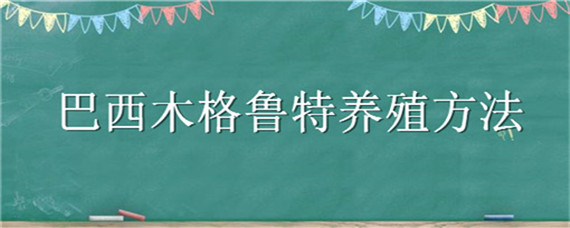 巴西木格鲁特养殖方法（巴西木的养殖技术）