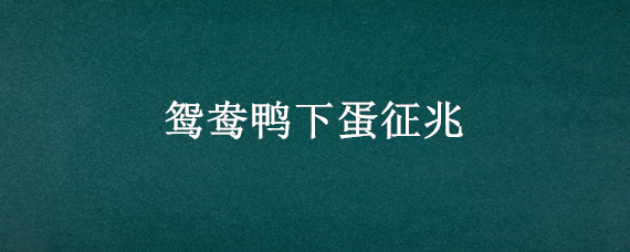 鸳鸯鸭下蛋征兆（鸳鸯鸭不下蛋怎么回事）