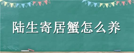 陆生寄居蟹怎么养（陆生寄居蟹如何饲养）