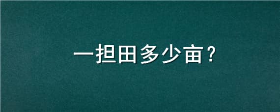 一担田多少亩（两担田等于多少亩）