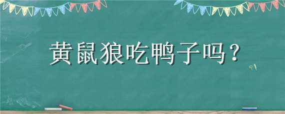 黄鼠狼吃鸭子吗 黄鼠狼会吃小鸭子吗